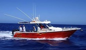 Moreton Island Fishing Charters Boat - Firebird